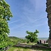 Die Burganlage ist schon ordentlich groß. Allein die Ringmauer ist über 400 Meter lang. Sie reicht mit der unteren Burg sogar bis zur heutigen Schlossgasse hinunter.