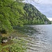 Wieder am Weißensee