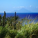 Ca. 70km weiter südlich: [tour139690 Mount Scenery (877m), Saba - Höchster Gipfel der Niederlande ].