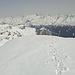 Auf dem Formariner Schafberg