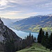 Schöne Frühlings-Stimmung am Walensee (Laubegg)