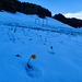 Ziemlich knappe Schneedecke im Oberholz