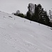 Suboptimale Skibedingungen heute bei Wasser-Schnee und +13 Grad - immerhin doch noch gute Schwünge über der Schwämi