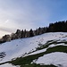 Ein Traum wird wahr - Skifahren im Züri Oberland im Mai. Es liegt gerade noch genug Schnee am Schwarzenberg