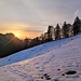 Ein Traum wird wahr - Skifahren im Züri Oberland im Mai. Es liegt gerade noch genug Schnee am Schwarzenberg