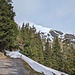 Hier auf etwa 1630 m ü. M. liess ich mein Bike stehen, da die Strasse weiter oben noch schneebedeckt war. 