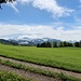 Paysage entre Gebertingen et Ranzach