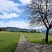Ranzach
