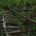 Descente dans le Ranzachtobel
