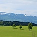 Paysage entre Ranzach et St. Gallenkappel