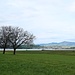Le lac de Zurich vu depuis la gare de Pfäffikon