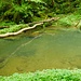 Da wollten wir nicht rüber, Gorges de l'Audeux