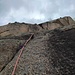 terza via
