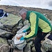 Preparazione della Colomba TreMarie