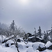 Weiterhin Schneefall, kurz ist die Sonne wahrnehmbar.