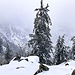 Rückblick zur westlichen Karwand.