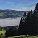 Über dem Alpsee hat es noch etwas Nebel