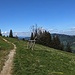 Ein Queerweg zur Alpe Starkatsgund