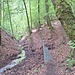Der Weg in den Hödinger Tobel hinab (links) ist leider wegen Hangrutschungen und umgestürzten Bäumen gesperrt. 
