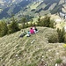 Picknick