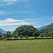 Tierget, ein Inselberg in der Seezebene