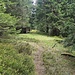 Auf dem Weg zum Rotkopf 