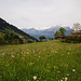 Blumenwiese, Karwendelblick