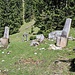 Stühle im Wald 