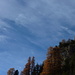 Himmel über der Alp Champatsch