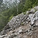 Abzweigung vom Wanderweg zur Mittagflue - bei dieser Steinmauer rechts abbiegen