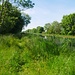 Canal de Bourgogne  - das Ufer ohne Asphalt 