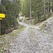 Abzweiger Quelle Tuftlbach/Weg zum Grünen Ups