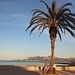 Abends in Port de Pollenca