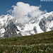 Le massif du Mont-Blanc, depuis les prés fleuris du Mont de la Saxe