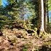 top of Grapplihoren