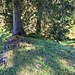top of Niderseehöchi