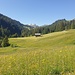 auf herrlichem Wanderweg dem Trütlisbergpass entgegen