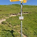 Trütlisbergpass