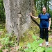 Grössenvergleich Quercus petraea mit Doris