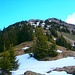 Hochgerach vom Goppeskopf