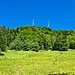 Am Ortsausgang von Sellenbüren schallt mir schon das Uffta-Uffta vom Uetliberg entgegen.