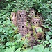 Kunst am Baum