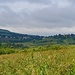 bei St Désert  *