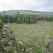 Blick vom Ottofels auf Ottos Frau (links) und Ottos Kind (rechts). Hinten halbrechts, noch vor dem Bergzug des Hohnekamms, erkennt man die Arnoldklippe.