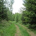 Auf dem weiteren Weg nach Norden, hier Harz-untypisch mal mit gesundem statt totem Wald. Rechts im Wald ist die Scheibenklippe verborgen, die ich als nächstes besuchen möchte.