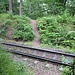 Der Pfad überquert die Schienen der Schmalspurbahn, sicherheitstechnisch nicht ungefährlich, denn die Bahnstrecke liegt in einer nicht einsehbaren Kurve. Ich dachte, man hört den Zug rechtzeitig anhand der lauten Dampf-Auspuffschläge. Aber kurz nachdem ich rüber war, kam fast lautlos ein bergab rollender Zug, ohne aktiven Dampf-Antrieb. Also aufpassen an dieser Stelle!