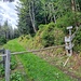 Beschriftete Abzweigung zum steilen Bergwald "Wjssenberg"