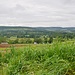 Blick auf die Niederung der Grosne