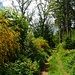 Kammweg