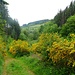 Aufstieg im Tal zwischen Le Perret und la Grande Diane *